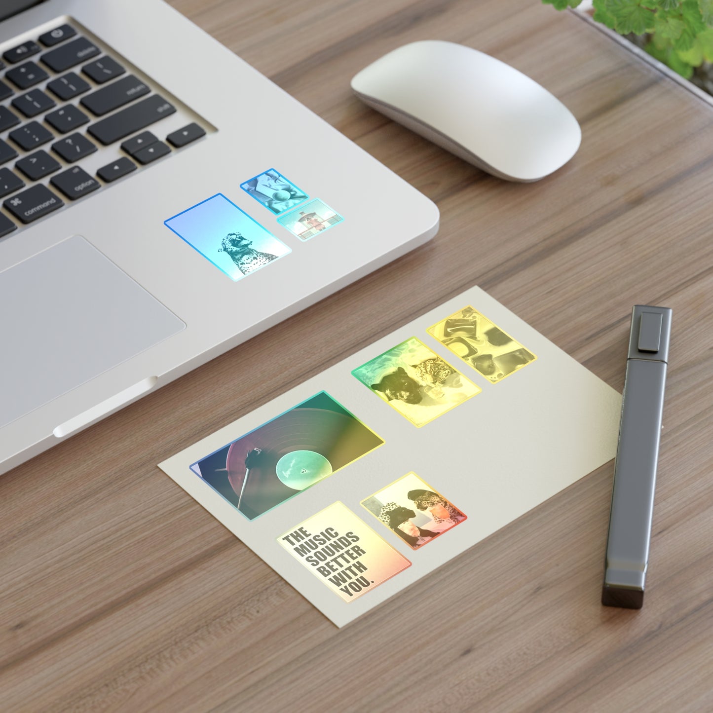 Trendy Sticker Sheets | matcha, wild cats, slogans, records