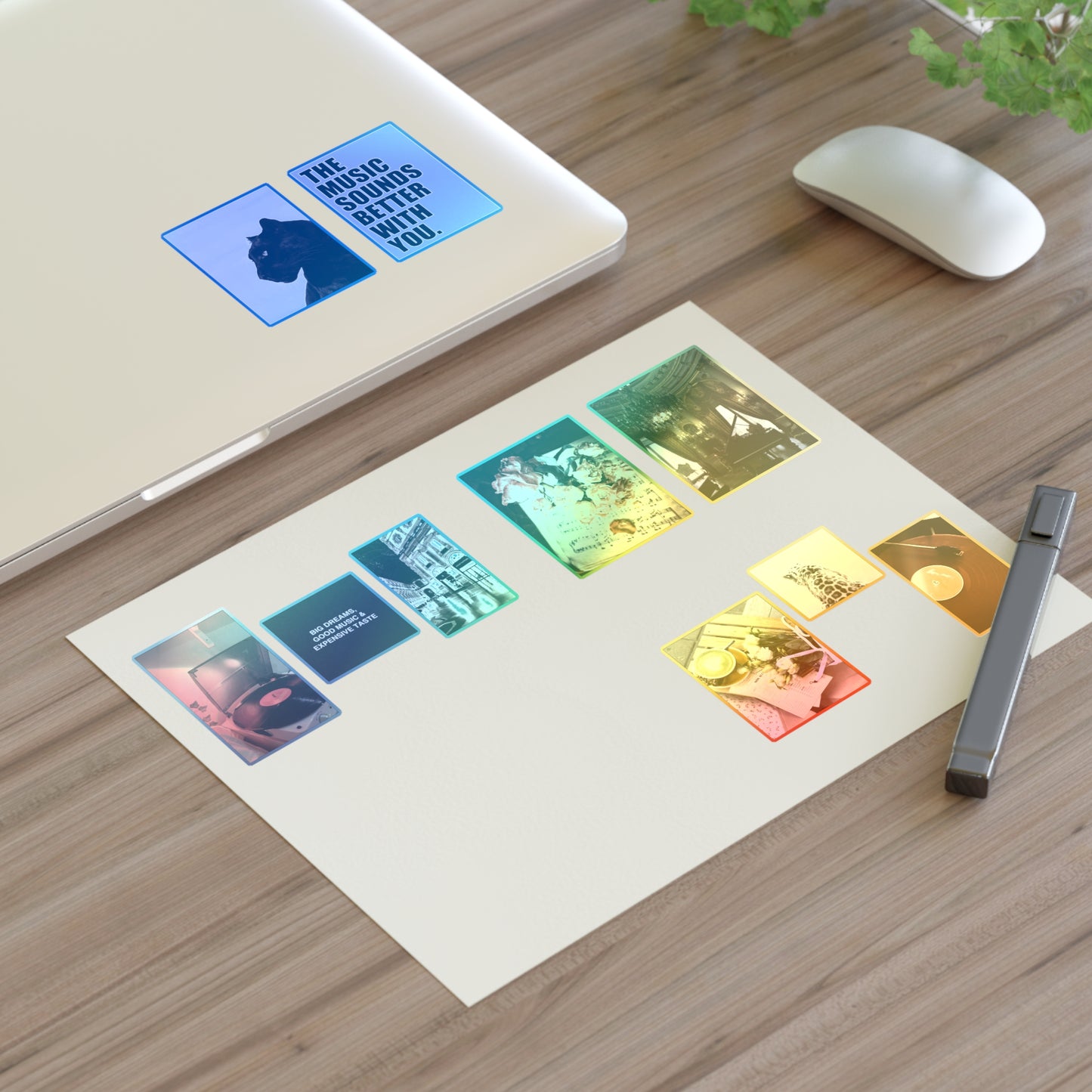 Aesthetic Sticker Sheets for Music Lovers - vintage, records, flowers, panther