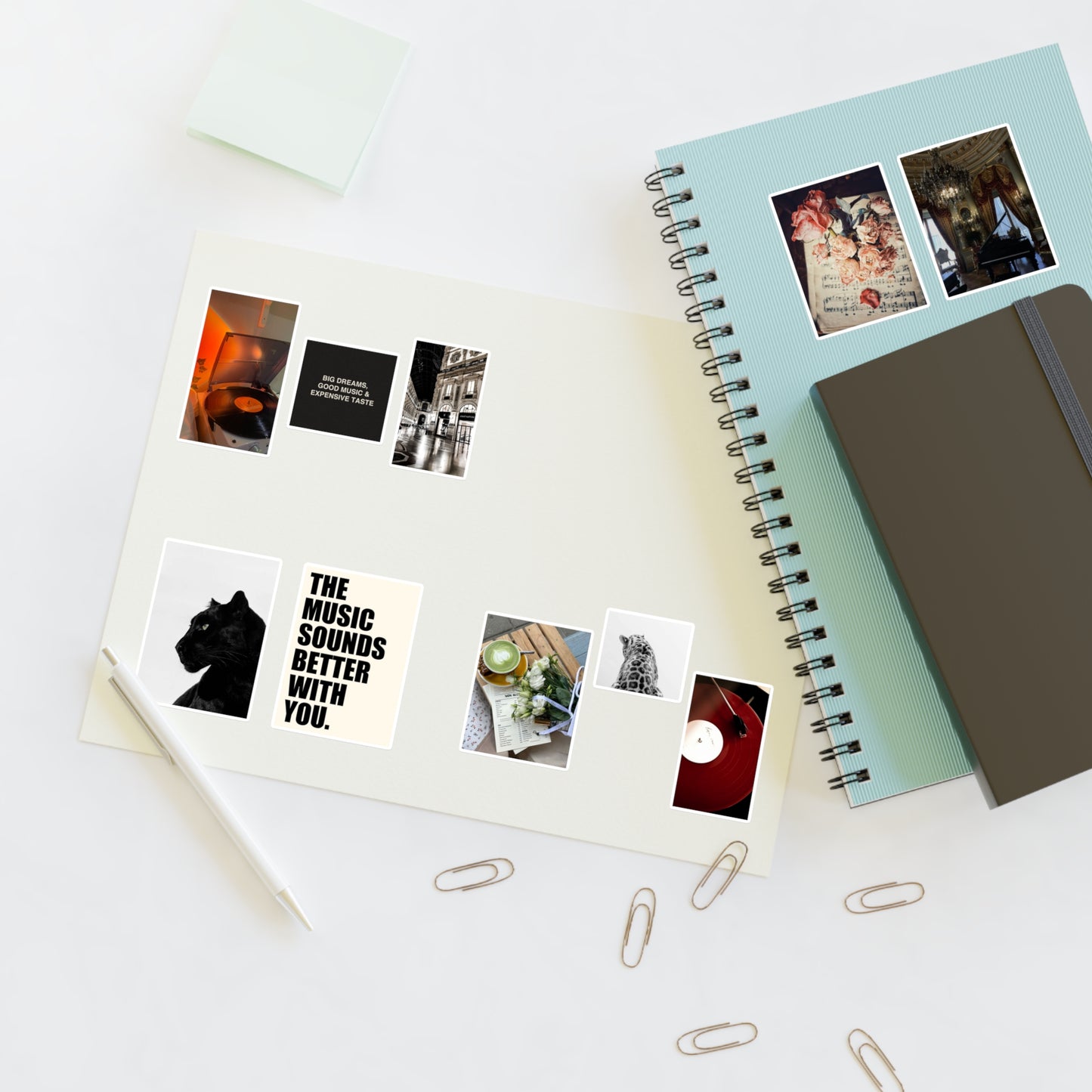 Aesthetic Sticker Sheets for Music Lovers - vintage, records, flowers, panther