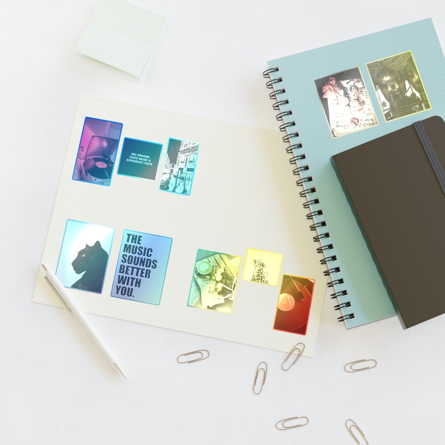 Aesthetic Sticker Sheets for Music Lovers - vintage, records, flowers, panther