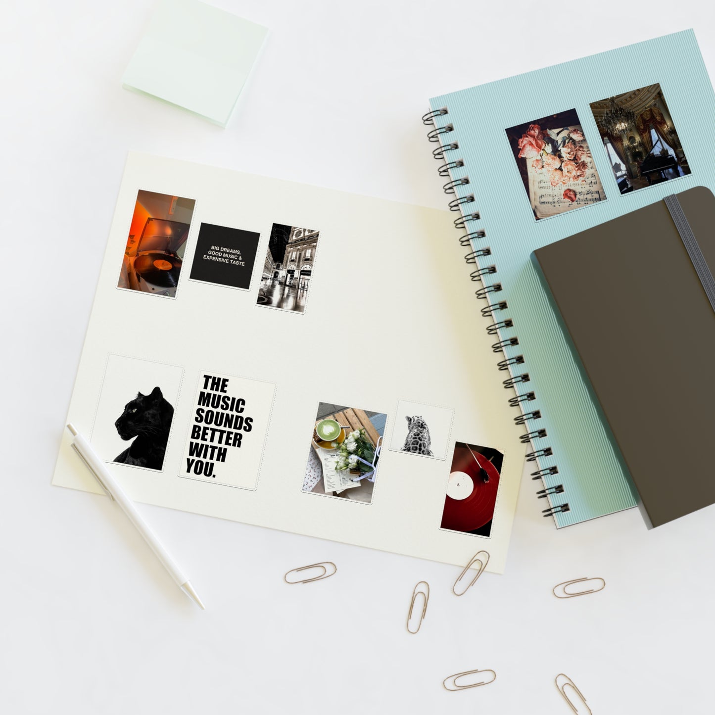 Aesthetic Sticker Sheets for Music Lovers - vintage, records, flowers, panther