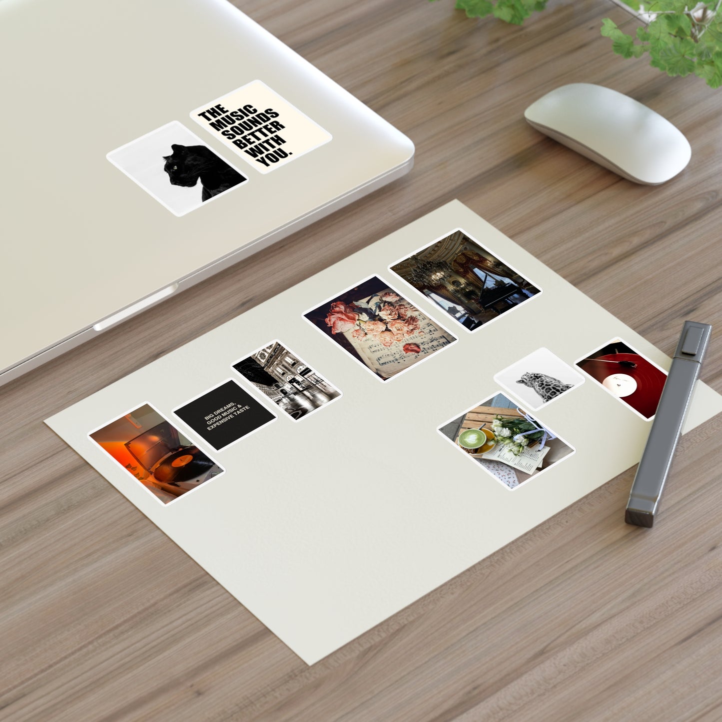 Aesthetic Sticker Sheets for Music Lovers - vintage, records, flowers, panther